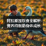 阿拉斯加饮食全解析：营养均衡助身体成长