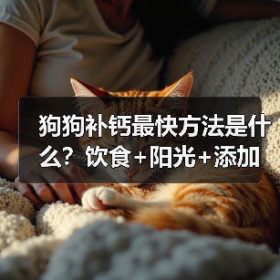 狗狗补钙最快方法是什么?饮食+阳光+添加剂如何高效补充?(图4) 狗狗补钙最快方法是什么?饮食+阳光+添加剂如何高效补充?(图4)
