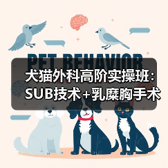 犬猫外科高阶实操班:SUB技术+乳糜胸手术,专家亲授!(图2) 犬猫外科高阶实操班:SUB技术+乳糜胸手术,专家亲授!(图2)