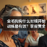 金毛狗狗什么时候开始训练最有效?掌握黄金期技巧(图2) 金毛狗狗什么时候开始训练最有效?掌握黄金期技巧(图2)