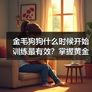 金毛狗狗什么时候开始训练最有效?掌握黄金期技巧(图4) 金毛狗狗什么时候开始训练最有效?掌握黄金期技巧(图4)