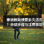 泰迪换狗粮要多久适应？关键步骤与注意事项全解析