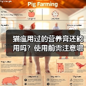 猫瘟用过的营养膏还能用吗？使用前需注意哪些关键点？(图2)