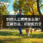 奶猫人工喂养怎么做?正确方法、奶粉配方全解析(图3) 奶猫人工喂养怎么做?正确方法、奶粉配方全解析(图3)