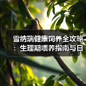 雪纳瑞健康饲养全攻略：生理期喂养指南与日常护理技巧(图2)