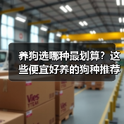养狗选哪种最划算？这些便宜好养的狗种推荐(图3)