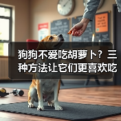 狗狗不爱吃胡萝卜?三种方法让它们更喜欢吃!(图3) 狗狗不爱吃胡萝卜?三种方法让它们更喜欢吃!(图3)