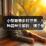 小型萌宠多样世界：15种品种全解析，哪个最萌？(图2)