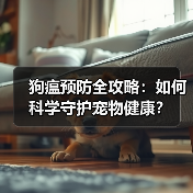 狗瘟预防全攻略:如何科学守护宠物健康?(图4) 狗瘟预防全攻略:如何科学守护宠物健康?(图4)