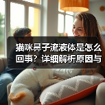 猫咪鼻子流液体是怎么回事?详细解析原因与治疗(图3) 猫咪鼻子流液体是怎么回事?详细解析原因与治疗(图3)