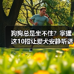 狗狗总是坐不住?掌握这10招让爱犬安静听话(图4) 狗狗总是坐不住?掌握这10招让爱犬安静听话(图4)