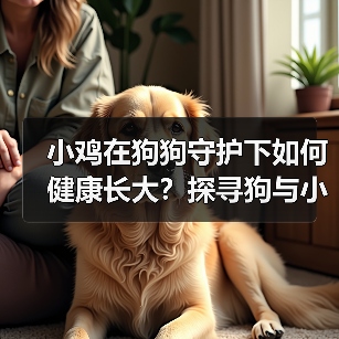 小鸡在狗狗守护下如何健康长大？探寻狗与小鸡的共生关系(图3)