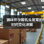 猫咪怀孕期乳头发育的时间变化详解
