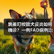 跳蚤叮咬致犬皮炎如何确诊？一例FAD病例治疗策略揭秘