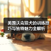 美国沃克猎犬的训练技巧与独特魅力全解析(图2)
