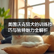 美国沃克猎犬的训练技巧与独特魅力全解析(图4)