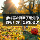 猫咪喜欢露肚子睡觉的真相！为什么它们会这样做？(图3)