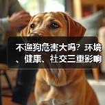 不遛狗危害大吗？环境、健康、社交三重影响如何应对