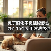 兔子消化不良便秘怎么办？15个实用方法帮你改善(图3)
