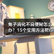 兔子消化不良便秘怎么办？15个实用方法帮你改善(图4)