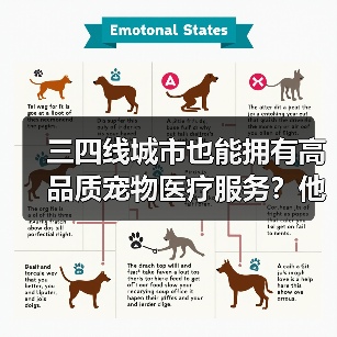 三四线城市也能拥有高品质宠物医疗服务?他如何实现?(图3) 三四线城市也能拥有高品质宠物医疗服务?他如何实现?(图3)