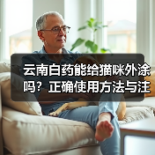 云南白药能给猫咪外涂吗?正确使用方法与注意事项详解(图1) 云南白药能给猫咪外涂吗?正确使用方法与注意事项详解(图1)