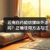 云南白药能给猫咪外涂吗?正确使用方法与注意事项详解(图3) 云南白药能给猫咪外涂吗?正确使用方法与注意事项详解(图3)