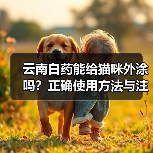 云南白药能给猫咪外涂吗?正确使用方法与注意事项详解(图4) 云南白药能给猫咪外涂吗?正确使用方法与注意事项详解(图4)