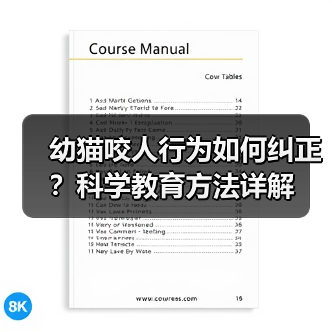 幼猫咬人行为如何纠正?科学教育方法详解(图2) 幼猫咬人行为如何纠正?科学教育方法详解(图2)