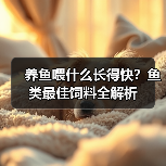 养鱼喂什么长得快？鱼类最佳饲料全解析