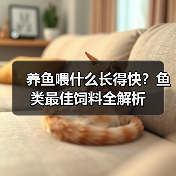 养鱼喂什么长得快?鱼类最佳饲料全解析(图4) 养鱼喂什么长得快?鱼类最佳饲料全解析(图4)