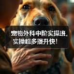 宠物外科中阶实操班，实操超多提升快！(图3)