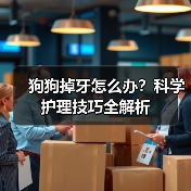 狗狗掉牙怎么办？科学护理技巧全解析(图3)