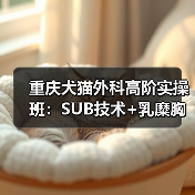 重庆犬猫外科高阶实操班：SUB技术+乳糜胸实战演练全解析(图2)