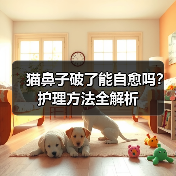 猫鼻子破了能自愈吗?护理方法全解析(图4) 猫鼻子破了能自愈吗?护理方法全解析(图4)