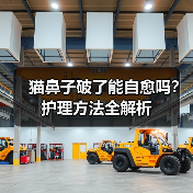 猫鼻子破了能自愈吗?护理方法全解析(图3) 猫鼻子破了能自愈吗?护理方法全解析(图3)
