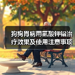 狗狗胃病用氢酸钾铝治疗效果及使用注意事项(图3)