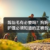 剪胎毛有必要吗?狗狗护理必须知道的正确剪胎毛技巧(图3) 剪胎毛有必要吗?狗狗护理必须知道的正确剪胎毛技巧(图3)
