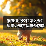 猫被蜱虫咬住怎么办？科学处理方法与预防指南(图4)