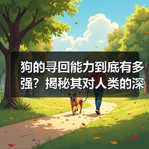 狗的寻回能力到底有多强?揭秘其对人类的深远影响(图2) 狗的寻回能力到底有多强?揭秘其对人类的深远影响(图2)