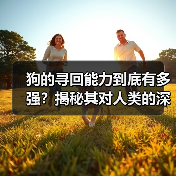 狗的寻回能力到底有多强?揭秘其对人类的深远影响(图4) 狗的寻回能力到底有多强?揭秘其对人类的深远影响(图4)