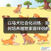 以马犬社会化训练：如何培养理想家庭伴侣的关键技巧(图2)