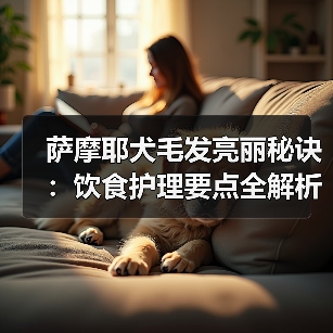 萨摩耶犬毛发亮丽秘诀:饮食护理要点全解析(图3) 萨摩耶犬毛发亮丽秘诀:饮食护理要点全解析(图3)