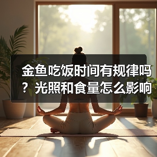金鱼吃饭时间有规律吗?光照和食量怎么影响?(图2) 金鱼吃饭时间有规律吗?光照和食量怎么影响?(图2)