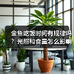 金鱼吃饭时间有规律吗?光照和食量怎么影响?(图4) 金鱼吃饭时间有规律吗?光照和食量怎么影响?(图4)