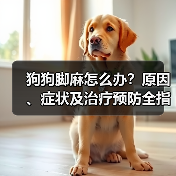 狗狗脚麻怎么办？原因、症状及治疗预防全指南(图2)