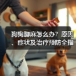 狗狗脚麻怎么办？原因、症状及治疗预防全指南(图3)