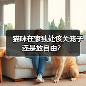 猫咪在家独处该关笼子还是放自由？(图4)