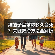 猫的子宫蓄脓多久会死？关键救治方法全解析(图2)