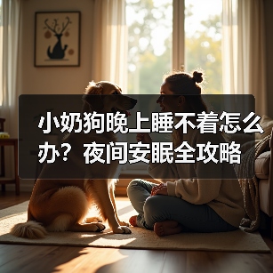 小奶狗晚上睡不着怎么办?夜间安眠全攻略(图2) 小奶狗晚上睡不着怎么办?夜间安眠全攻略(图2)
